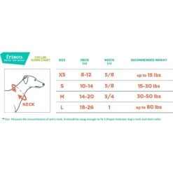 Frisco Outdoor Lightweight Ripstop Nylon Dog Harness & Frisco Outdoor Heathered Nylon Collar -Frisco Shop 319194 PT7. AC SS1800 V1631118969