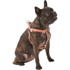 Frisco Outdoor Two Toned Waterproof Stink Proof PVC Dog Leash & Frisco Outdoor Two Tone Waterproof Stinkproof PVC Dog Harness -Frisco Shop 319448 PT5. AC SS1800 V1631146290