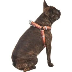 Frisco Outdoor Two Toned Waterproof Stink Proof PVC Dog Leash & Frisco Outdoor Two Tone Waterproof Stinkproof PVC Dog Harness -Frisco Shop 319448 PT6. AC SS1800 V1631152279