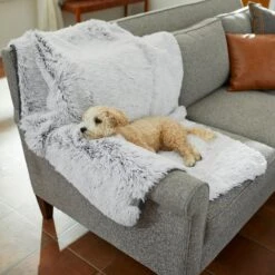 Frisco Sofa Pet Bed With Removable Cover & Frisco Eyelash Cat & Dog Blanket -Frisco Shop 319504 PT8. AC SS1800 V1630629098