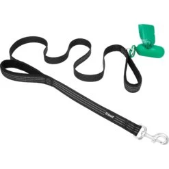 Frisco Traffic Leash With Padded Handles & Poop Bag Dispenser & Frisco Refill Dog Poop Bags Made With 50% Recycled Packaging -Frisco Shop 319512 PT5. AC SS1800 V1683212082