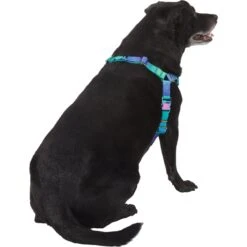 Frisco Green Ombre Style Dog Harness 8 Frisco Green Ombre Style Dog Harness -Frisco Shop 324531 PT3. AC SS1800 V1642518631