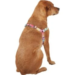 Frisco Pink Ombre Style Dog Harness -Frisco Shop 324537 PT3. AC SS1800 V1642519146