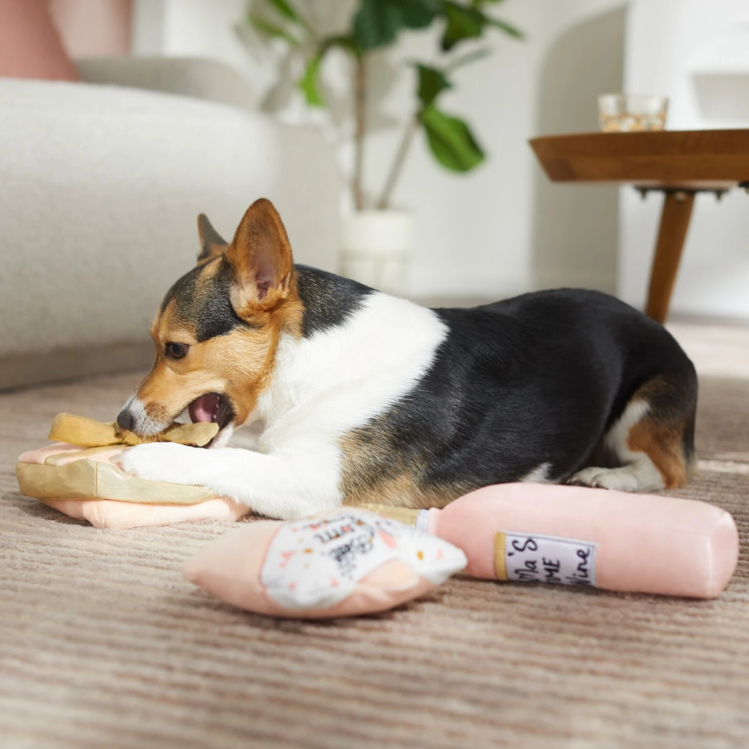 Frisco Mother's Day Gifts Plush Squeaky Dog Toy, 3 Count 3 Frisco Mother's Day Gifts Plush Squeaky Dog Toy, 3 Count - Image 3