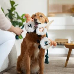 Frisco Mother's Day Gnomes Plush With Rope Squeaky Dog Toy 5 Frisco Mother's Day Gnomes Plush With Rope Squeaky Dog Toy -Frisco Shop 327037 PT3. AC SS1800 V1646948102