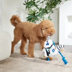 Frisco Dad Gnome Plush With Rope Dog Toy -Frisco Shop 327053 PT3. AC SS1800 V1648667286