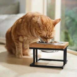 Frisco Premium Wood Elevated Single Dog & Cat Bowl -Frisco Shop 331493 PT3. AC SS1800 V1657656892