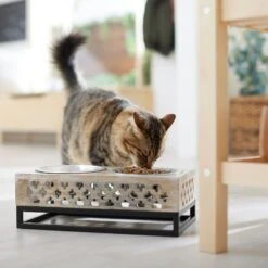 Frisco Premium Wood Elevated Stainless Steel Double Diner Dog & Cat Bowl, 3 Cup -Frisco Shop 331507 PT3. AC SS1800 V1657656894