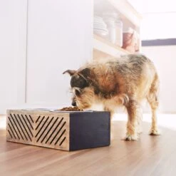 Frisco Premium Wood Elevated Stainless Steel Double Diner Dog & Cat Bowl, Black, 3 Cup 8 Frisco Premium Wood Elevated Stainless Steel Double Diner Dog & Cat Bowl, Black, 3 Cup -Frisco Shop 331509 PT2. AC SS1800 V1657656894