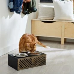 Frisco Premium Wood Elevated Stainless Steel Double Diner Dog & Cat Bowl, Black, 3 Cup 9 Frisco Premium Wood Elevated Stainless Steel Double Diner Dog & Cat Bowl, Black, 3 Cup -Frisco Shop 331509 PT3. AC SS1800 V1657656894