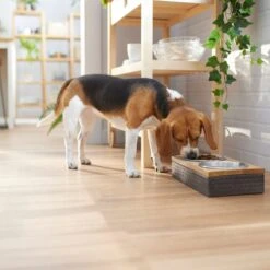 Frisco Premium Stainless Steel Double Diner Dog & Cat Bowl, Black -Frisco Shop 331532 PT2. AC SS1800 V1657656874