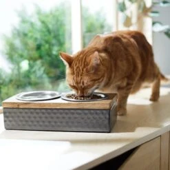 Frisco Premium Stainless Steel Double Diner Dog & Cat Bowl, Black -Frisco Shop 331532 PT3. AC SS1800 V1657656874