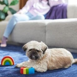 Frisco Pride Rainbow & Heart Latex Squeaky Dog Toy, 2 Count -Frisco Shop 331632 PT3. AC SS1800 V1647355825