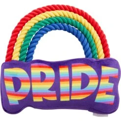 Frisco Pride Rainbow Plush With Rope Squeaky Dog Toy