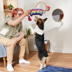 Frisco Pride Plush With Rope Squeaky Dog Toy 5 Frisco Pride Plush With Rope Squeaky Dog Toy -Frisco Shop 331661 PT3. AC SS1800 V1647356002