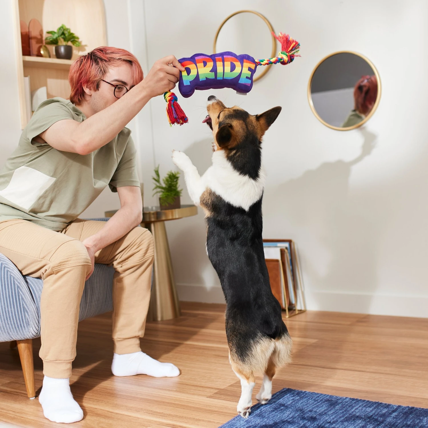 Frisco Pride Plush With Rope Squeaky Dog Toy 3 Frisco Pride Plush With Rope Squeaky Dog Toy - Image 3