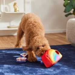 Frisco Pride Rainbow Hide & Seek Puzzle Plush Squeaky Dog Toy 7 Frisco Pride Rainbow Hide & Seek Puzzle Plush Squeaky Dog Toy -Frisco Shop 331673 PT3. AC SS1800 V1647356070