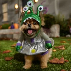 Frisco Front Walking Alien Dog & Cat Costume -Frisco Shop 334795 PT7. AC SS1800 V1657718966