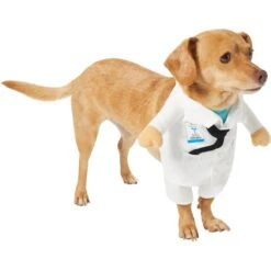 Frisco Front Walking Doctor Dog & Cat Costume 11 Frisco Front Walking Doctor Dog & Cat Costume -Frisco Shop 334900 PT3. AC SS1800 V1658344549