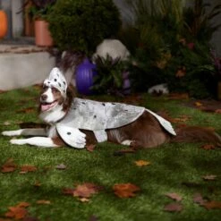 Frisco Seal Dog & Cat Costume -Frisco Shop 334983 PT7. AC SS1800 V1657730462