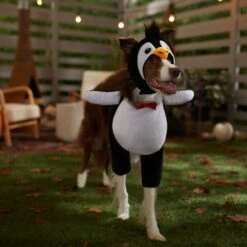 Frisco Front Walking Penguin Dog & Cat Costume -Frisco Shop 335062 PT7. AC SS1800 V1657718971