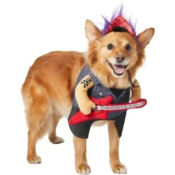 Frisco Front Walking Punk Rocker Dog & Cat Costume -Frisco Shop 335087 PT3. AC SS1800 V1658346323