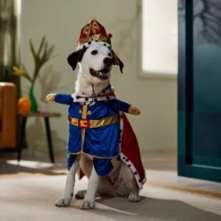 Frisco Front Walking Royal King Dog & Cat Costume -Frisco Shop 335127 PT7. AC SS1800 V1659037728