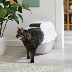Frisco Modern Hooded Cat Litter Box