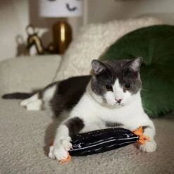 Frisco Halloween A-Paw-Thecary Kicker Plush Cat Toy With Catnip -Frisco Shop 344000 PT3. AC SS1800 V1657657029