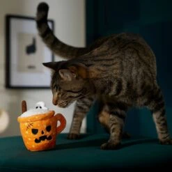 Frisco Halloween Spooky Pumpkin Spice Latte Plush Cat Toy With Catnip 6 Frisco Halloween Spooky Pumpkin Spice Latte Plush Cat Toy With Catnip -Frisco Shop 344080 PT3. AC SS1800 V1657657033