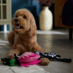 Frisco Halloween Flamingo Plush Squeaky Dog Toy -Frisco Shop 344123 PT3. AC SS1800 V1657657035