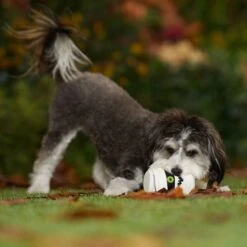 Frisco Halloween Mummy Latex Squeaky Dog Toy -Frisco Shop 344140 PT3. AC SS1800 V1657657042