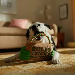 Frisco Halloween "Will Do Tricks For Treats" Sign Plush With Rope Squeaky Dog Toy 9 Frisco Halloween "Will Do Tricks For Treats" Sign Plush With Rope Squeaky Dog Toy -Frisco Shop 344172 PT3. AC SS1800 V1657657049