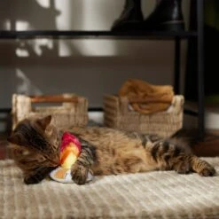 Frisco Fall Campfire Plush Cat Toy With Catnip -Frisco Shop 344178 PT3. AC SS1800 V1659023182