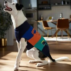 Frisco Anaconda Cheetah Colorblock Dog & Cat Sweater -Frisco Shop 353596 PT7. AC SS1800 V1660749560