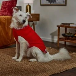 Frisco Plaid Cable Knit Dog & Cat Sweater 12 Frisco Plaid Cable Knit Dog & Cat Sweater -Frisco Shop 353611 PT7. AC SS1800 V1660749926