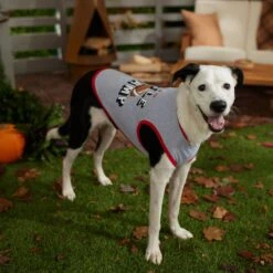 Frisco Little Champ Dog & Cat T-Shirt -Frisco Shop 353722 PT7. AC SS1800 V1660749632