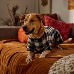 Frisco Plaid Dog & Cat Fleece Pajamas -Frisco Shop 353755 PT6. AC SS1800 V1660749967