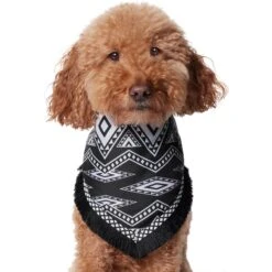 Frisco Southwest Fringe Dog & Cat Bandana -Frisco Shop 353783 PT2. AC SS1800 V1659007315
