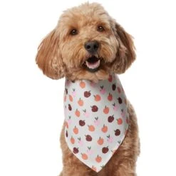Frisco Apple Dog & Cat Bandana 10 Frisco Apple Dog & Cat Bandana -Frisco Shop 353786 PT2. AC SS1800 V1661275129