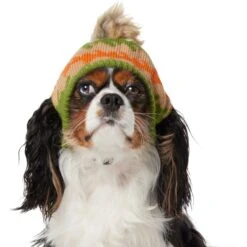 Frisco Striped Poof Dog & Cat Knitted Hat 8 Frisco Striped Poof Dog & Cat Knitted Hat -Frisco Shop 353793 PT2. AC SS1800 V1659008241