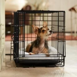 Frisco Adjustable Electrical Dog & Cat Heated Crate Mat With Timer -Frisco Shop 358546 PT5. AC SS1800 V1662500981