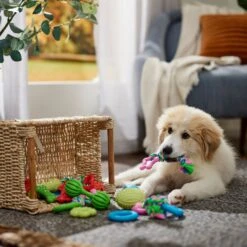 Frisco Small Breed Puppies Rope & TPR Variety Pack Puppy Toy -Frisco Shop 358552 PT4. AC SS1800 V1669908588