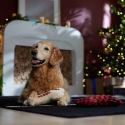 Frisco Holiday "Happy Pawlidays" Bone Plush Squeaky Dog Toy, Medium, 2 Count 6 Frisco Holiday "Happy Pawlidays" Bone Plush Squeaky Dog Toy, Medium, 2 Count -Frisco Shop 360942 PT3. AC SS1800 V1661874360