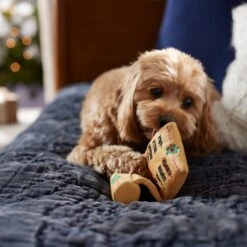 Frisco Holiday Santa's List Plush & TPR Inside Dog Toy -Frisco Shop 360970 PT3. AC SS1800 V1661874421