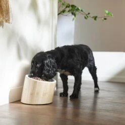 Frisco Elevated Slanted Bamboo Melamine Non-Skid Dog Bowl With Bamboo Stand -Frisco Shop 363387 PT2. AC SS1800 V1657657267