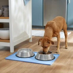 Frisco Silicone Dog & Cat Food Mat, Blue -Frisco Shop 363399 PT2. AC SS1800 V1660750522