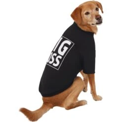Frisco Big Boss Dog & Cat T-Shirt 10 Frisco Big Boss Dog & Cat T-Shirt -Frisco Shop 368782 PT4. AC SS1800 V1669100910