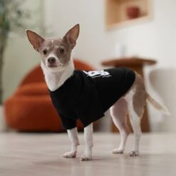 Frisco Big Boss Dog & Cat T-Shirt 12 Frisco Big Boss Dog & Cat T-Shirt -Frisco Shop 368782 PT7. AC SS1800 V1664992675