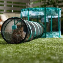 Frisco Mesh Outdoor Extra Wide Pop-up Cat Playpen & Tunnel 14 Frisco Mesh Outdoor Extra Wide Pop-up Cat Playpen & Tunnel -Frisco Shop 371212 PT6. AC SS1800 V1663094505